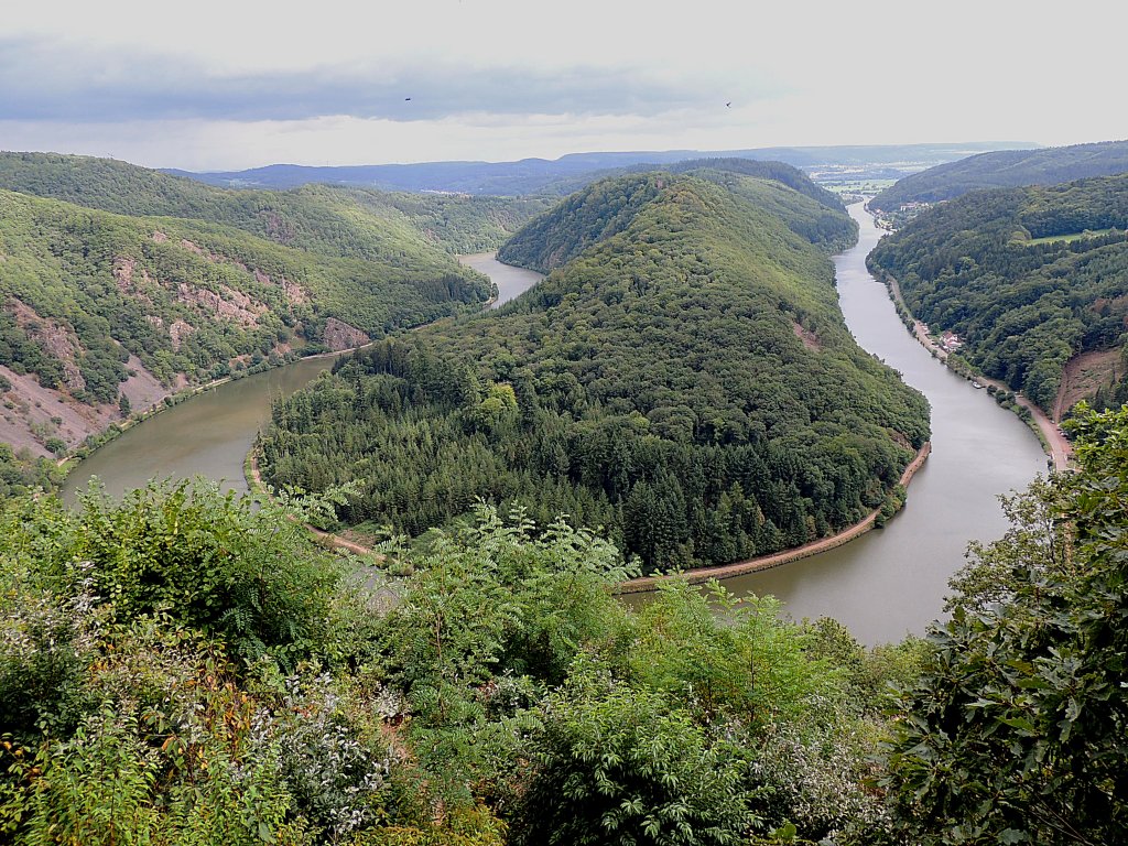 SAARSCHLEIFE vom Aussichtspunkt Cloef (vielleicht ist bis zum nchsten Besuch das Gehlz im Vordergrund etwas ausgelichtet); 120826