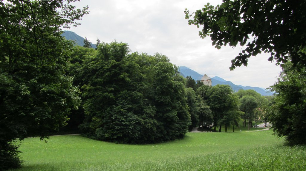 Saftiger Laubwald im Schlosspark Matzen in St. Gertraudi bei Brixlegg, dahinter die Spitze des Schlosses. (9.7.2012)