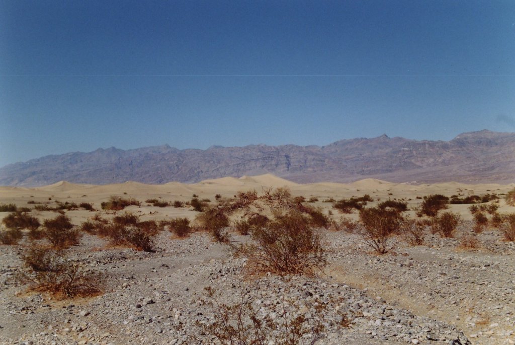 Sanddnen im Death Valley (19.03.2003)