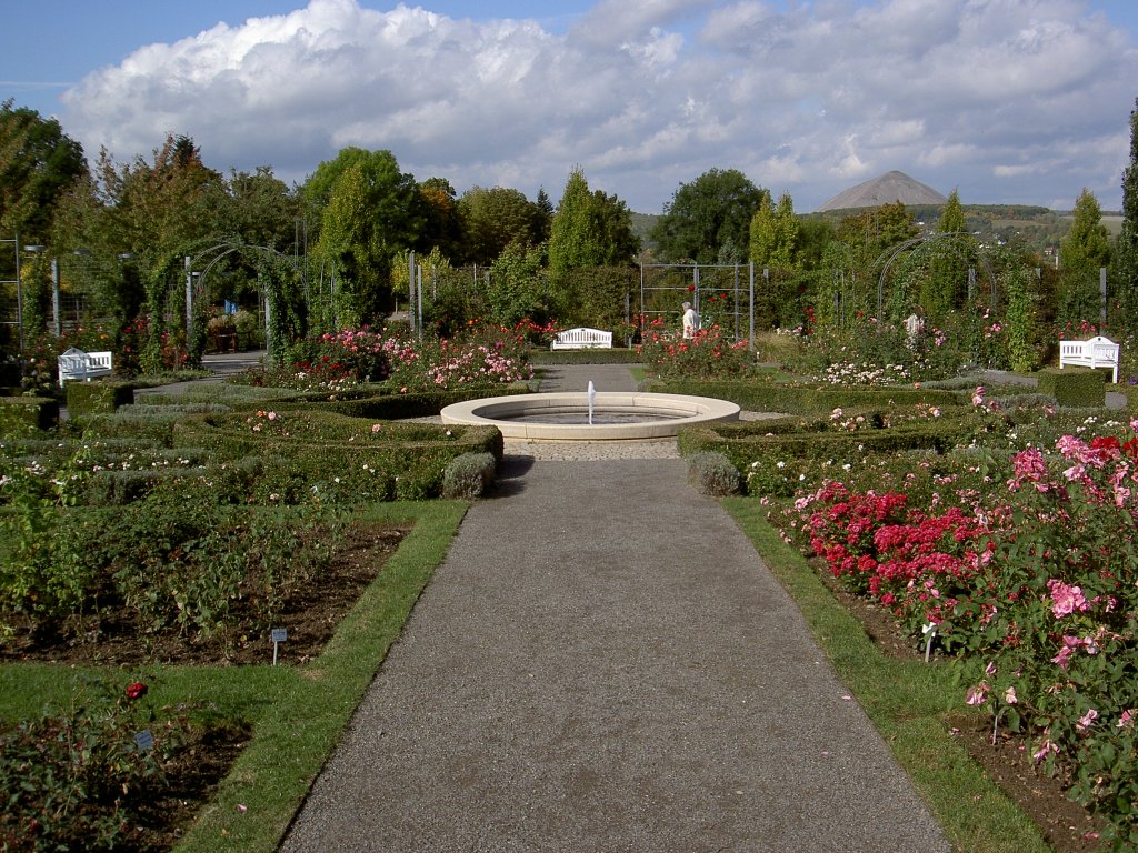 Sangerhausen, Hauptallee des Rosarium Rosengarten (29.09.2012)