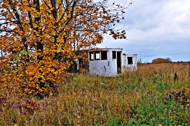 Schiffsaufbauten mitten in der Botanik bei Grimmen weitab vom groen Wasser, 27.10.09