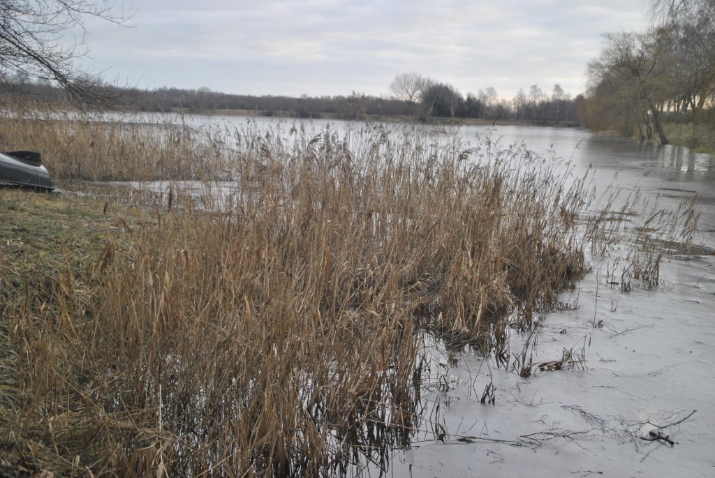 Schliff am Blauen See in Lehrte, am 16.01.11 in Lehrte.