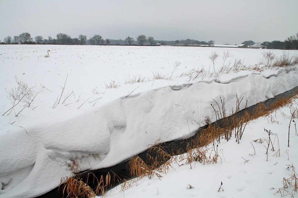 Schnee an einem Graben bei Passow (Uckermark) 19.01.2010