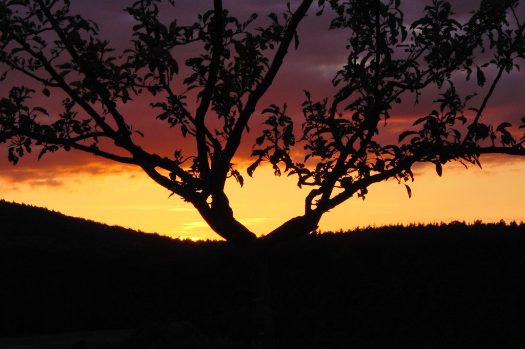 Schner Abendhimmel am 13.05.2012 am  Weinberg  in der Nhe von Bischwind a.R.