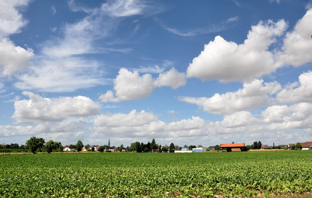 Schnwetterwolken, Pflanzenfeld und im Hintergrund Strafeld ... und 32 Grad mit Sturm. 15.07.2010