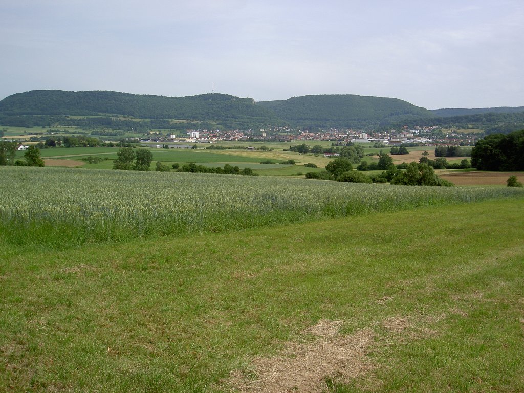 Schwbische Alb bei Heubach / Remstal (28.06.2012)