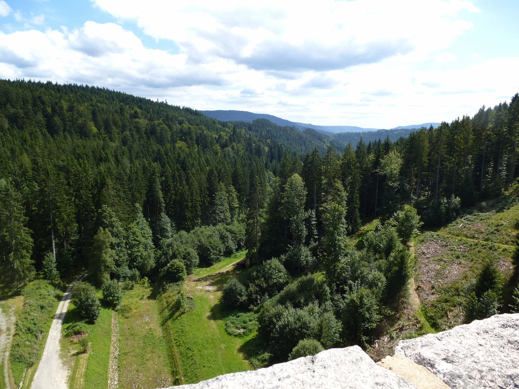 Schwarzenbachtalsperre, Blick von der Staumauer ins Tal des abflieenden Schwarzenbaches, Mai 2017