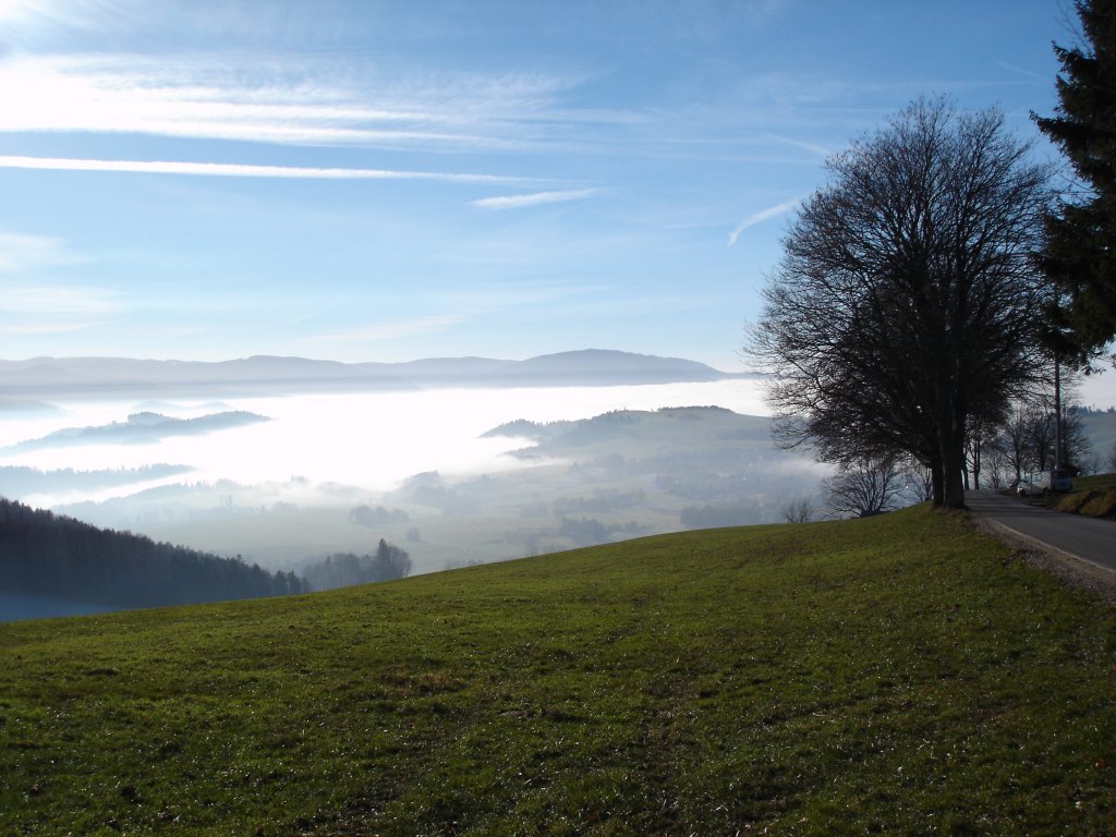 Schwarzwald bei St.Peter,
typische Sptherbstwitterung,
unten tagelang Nebel,oben strahlender Sonnenschein,
2006