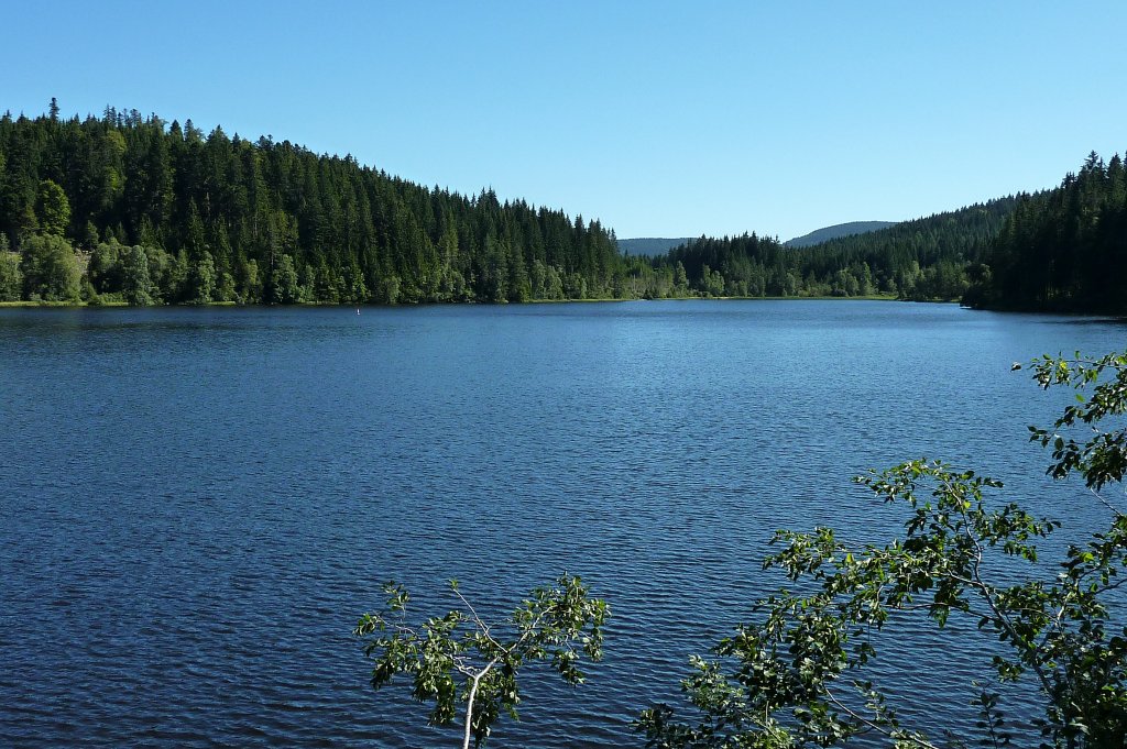 Schwarzwald, der Windgfllweiher, liegt zwischen Titisee und Schluchsee, ist Landschaftschutzgebiet, Aug.2012