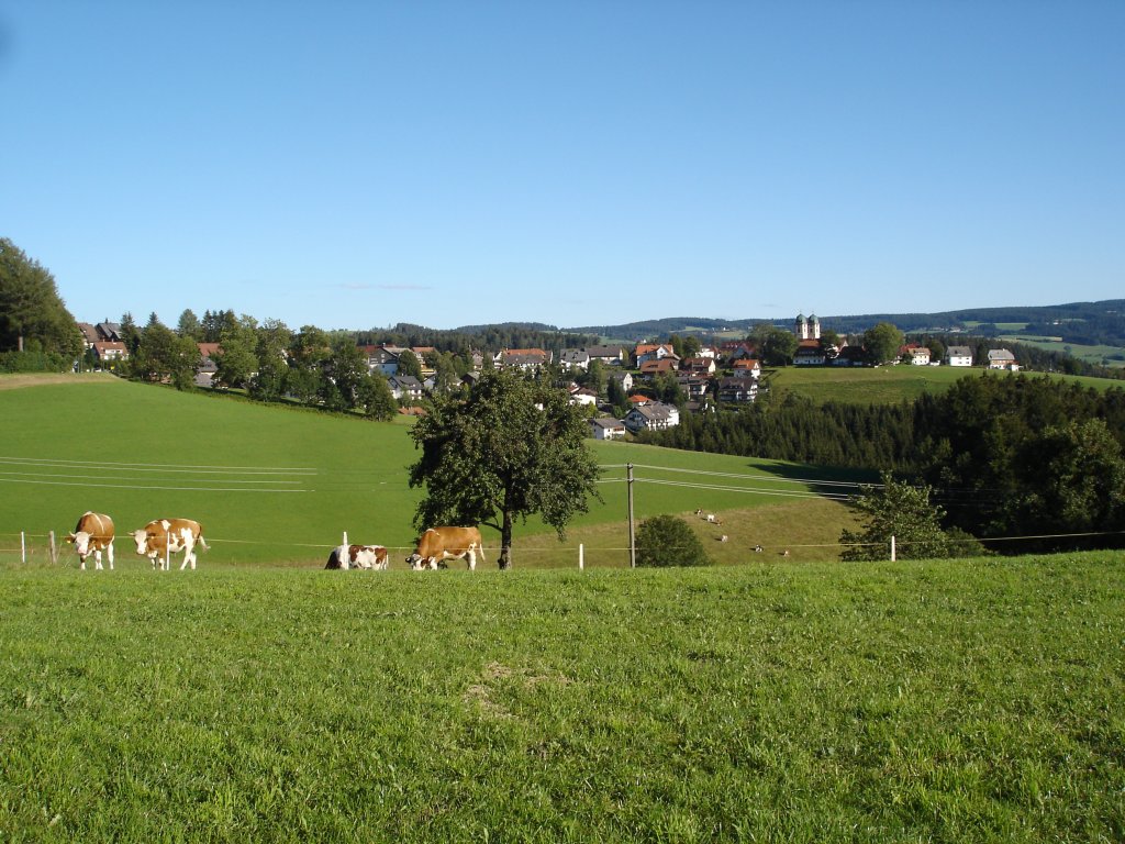 Schwarzwald,
Blick auf St.Märgen
2008