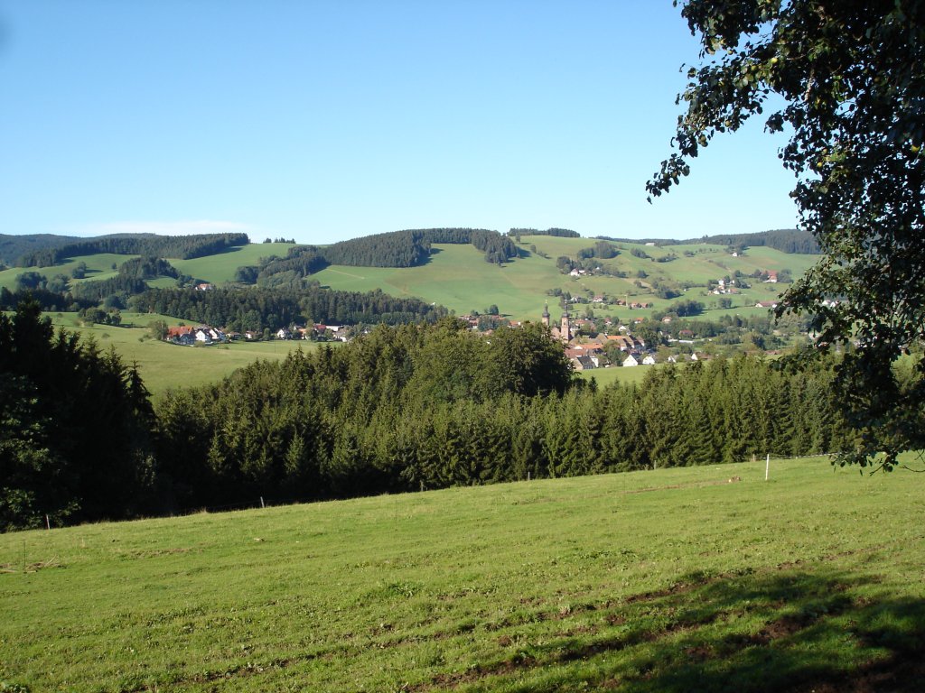 Schwarzwald,
Blick auf St.Peter
2006
