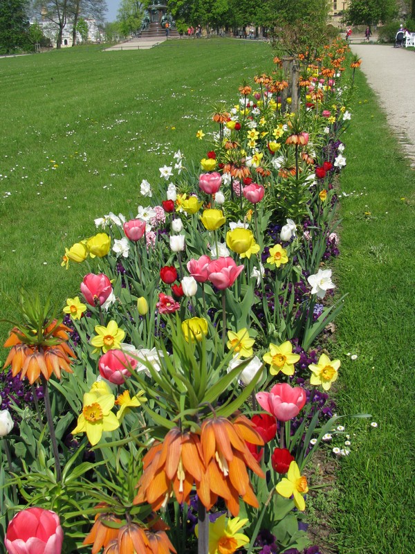 Schwerin [MV]; im Schopark sah ich dieses sehr schnen Blumenarrangement, Schwerin 23.04.2011