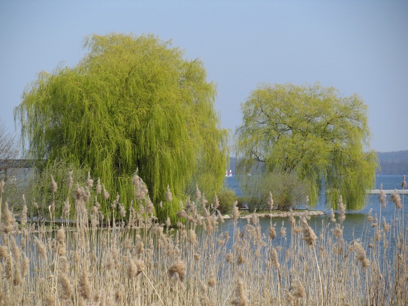 Schwerin; Schweriner See mit einem teil des Burggarten, 18.04.2010