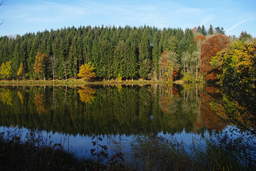 See bei Maierhfen im Oberallgu, Kreis Lindau (30.10.2011)