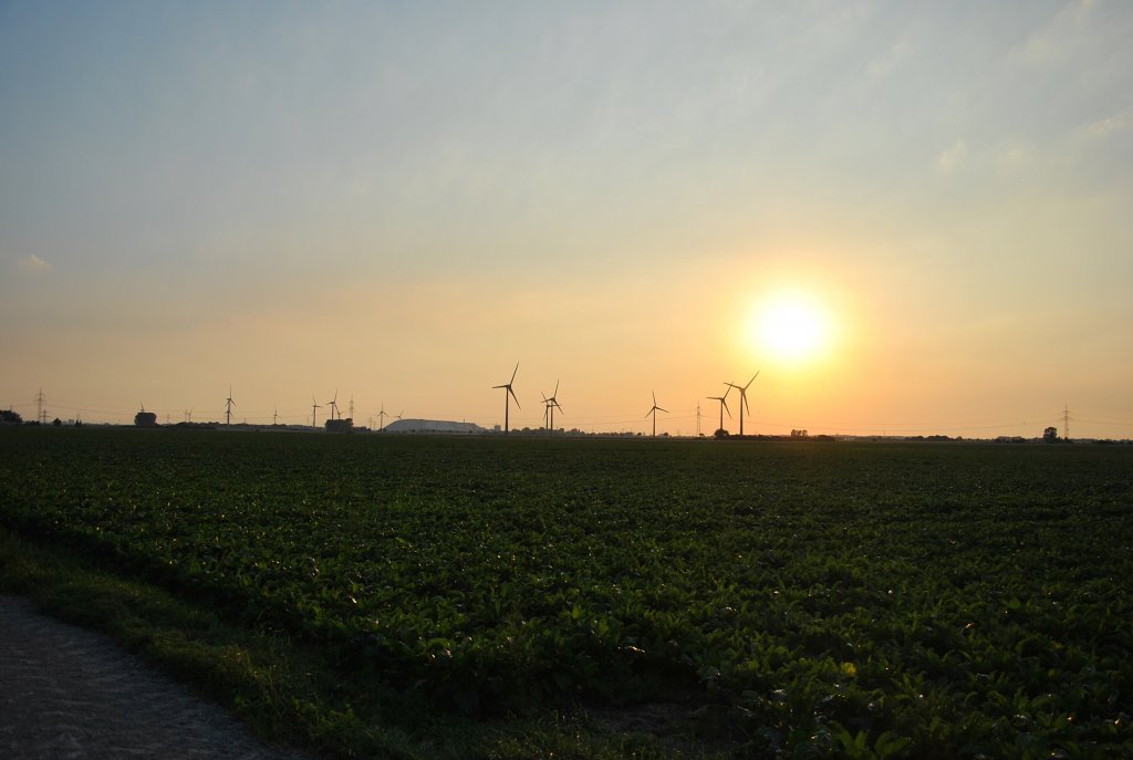 Sehr tiefstehnde Sonne in Lehrte. Foto vom 21.08.10.