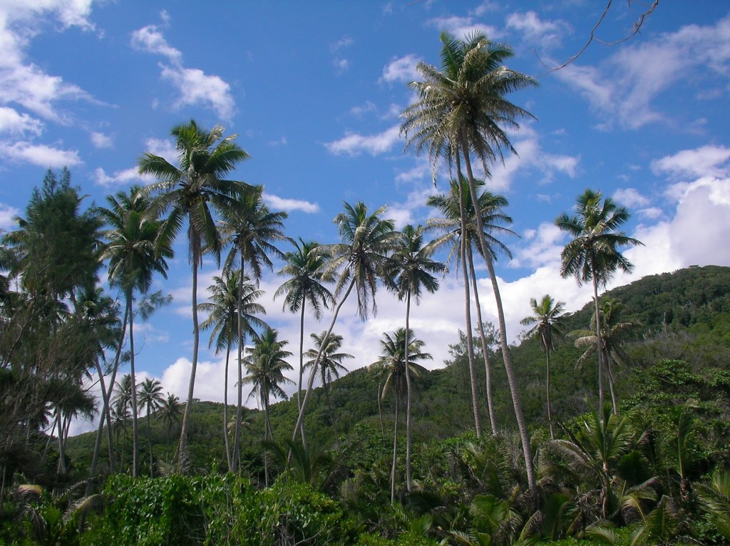 Seychellen - Indischer Ozean - auf 'LaDigue' - 17.12.2009