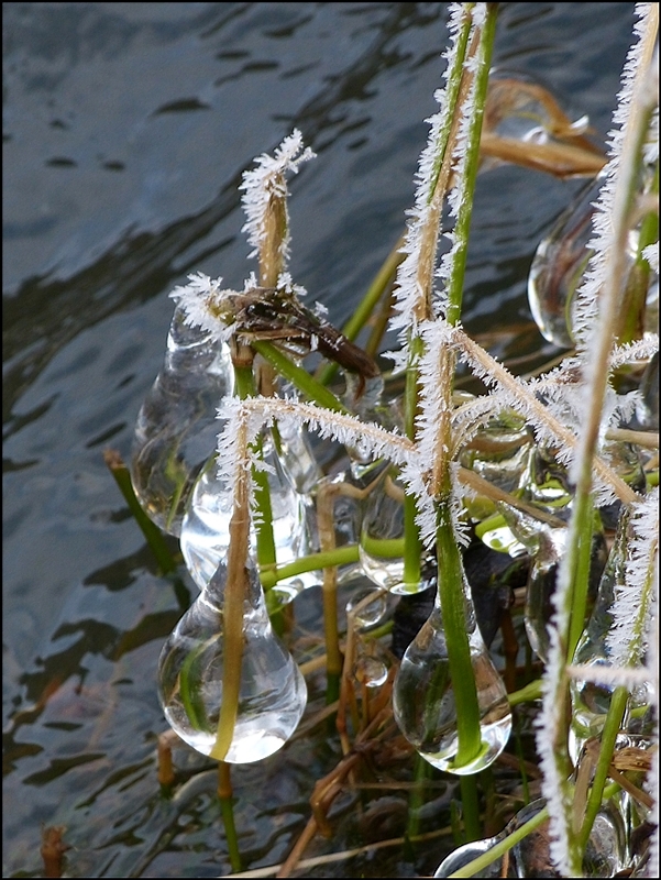 Skurrile Eisformationen in Drauffelt. 14.01.2013 (Jeanny)