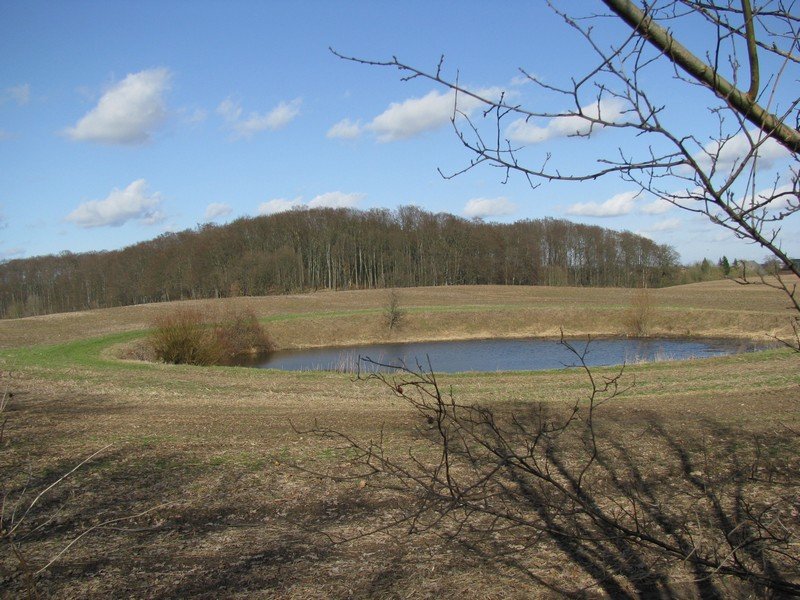 Soll bei Gro Hundorf an der Strae Botelsdorf - Kchelstorf im Landkreis Nordwestmecklenburg 21.03.2010