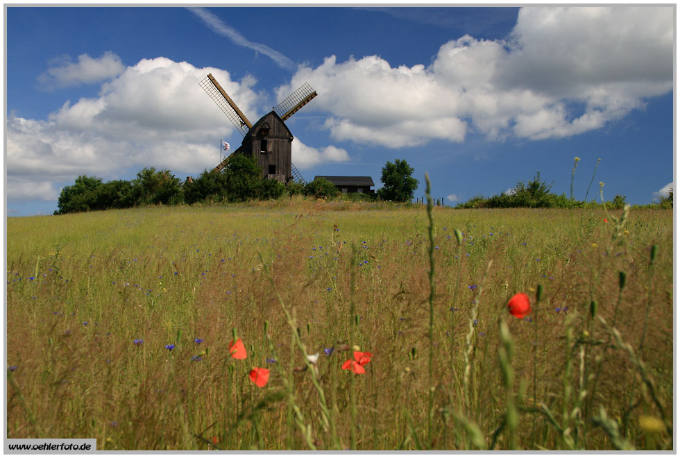 Sommer auf Usedom 2010: Bockwindmhle bei Pudagla