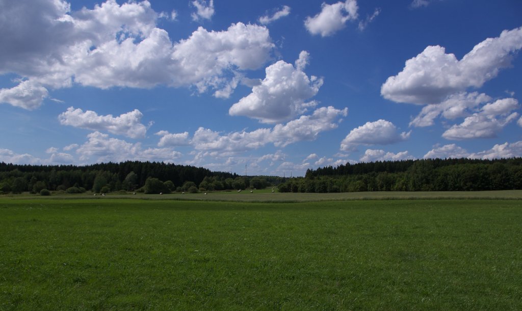 Sommerlandschaft bei Gutenfrst an der ehemaligen innerdeutschen Grenze DDR-BRD.
Heute sieht es Gott sei Dank friedvoller aus, ohne Stacheldraht und Grenztruppen.
In 200 Metern Entfernung liegt heute nur noch die Grenze der beiden Freistaaten Sachsen und Bayern. 04.08.2012