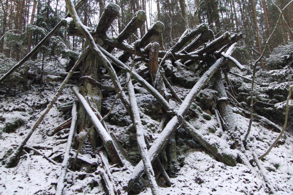 Sonderbarer Pfahlbau im  Zauberwald . Auerdem ist in dem Bild ein Gesicht versteckt.Viel Spass bei der Suche