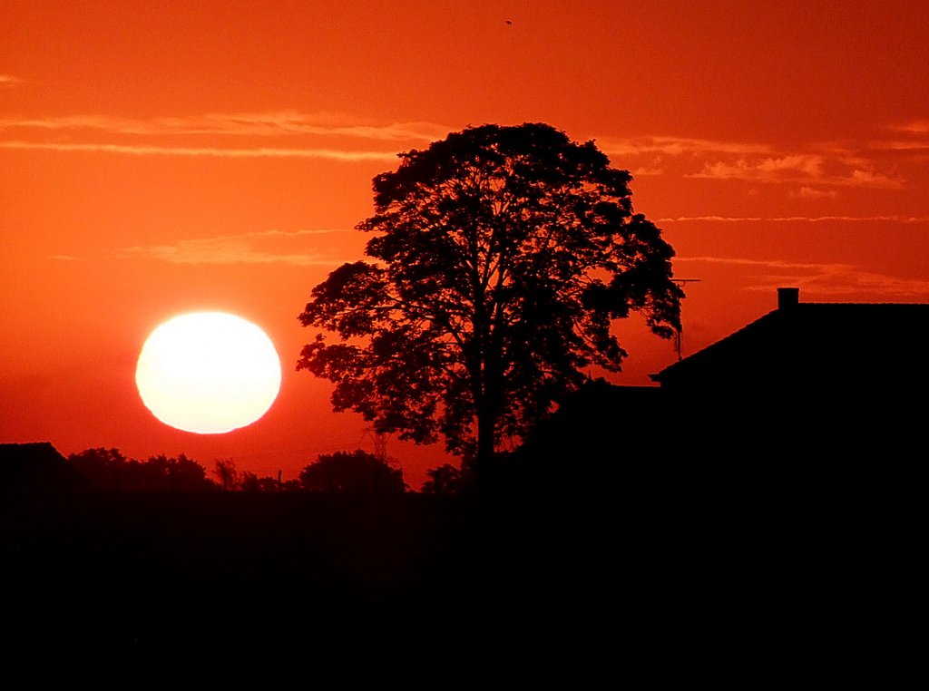 Sonnenaufgang bei Nijmegen;110828