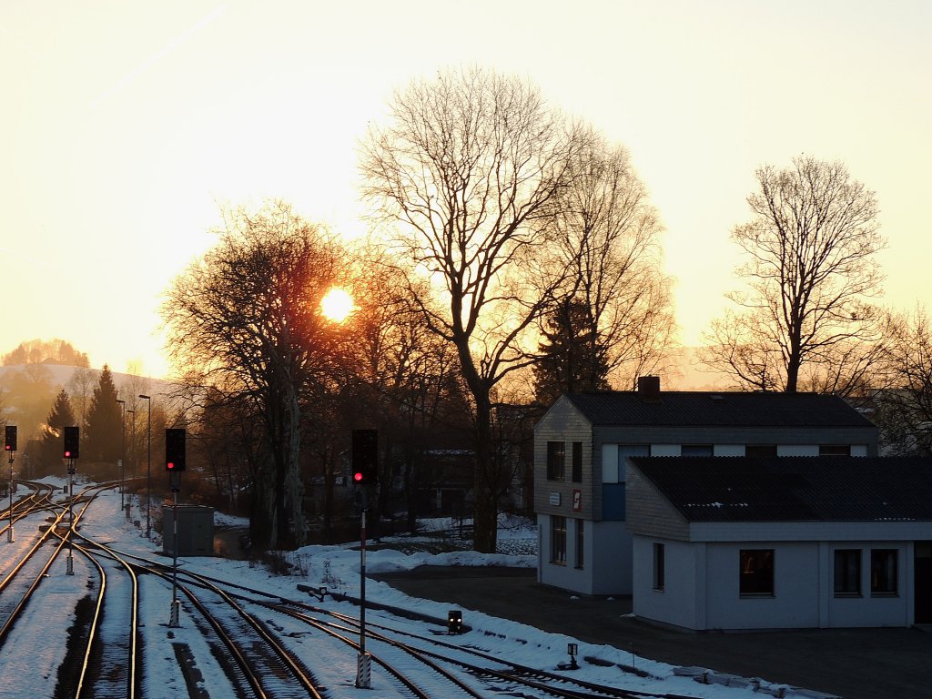 Sonnenaufgang hinter den Platanen(Platanus) bei der Osteinfahrt des Bhf. Ried i.I.; 130305