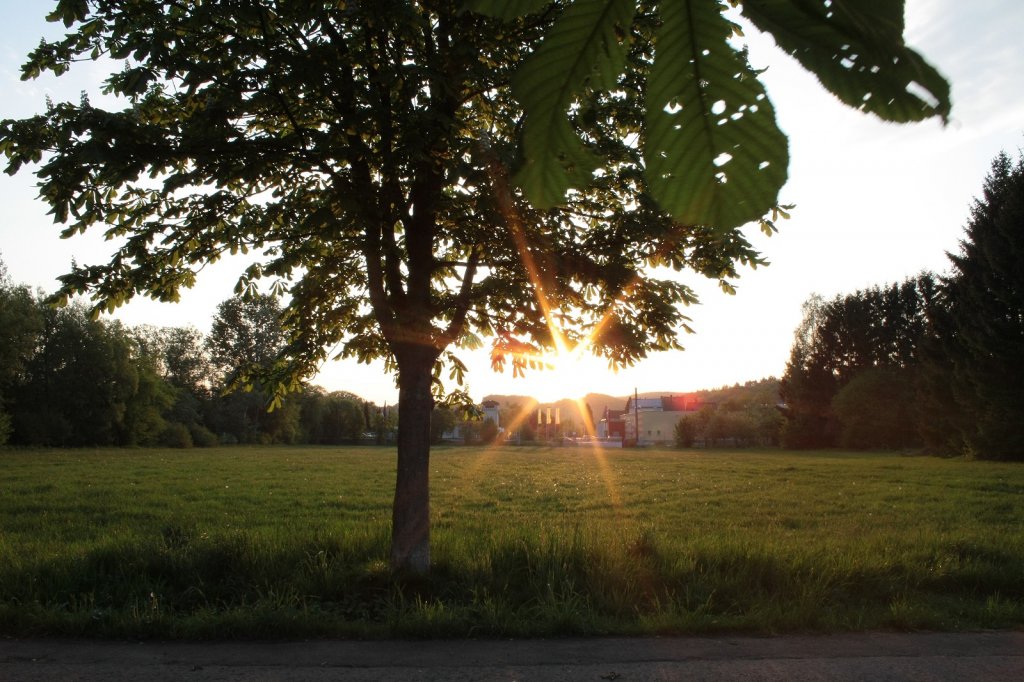 Sonnenaufgang in Nunkirchen/Saarland. Aufnahme vom 01.05.2011 im Nunkircher Wiesental.