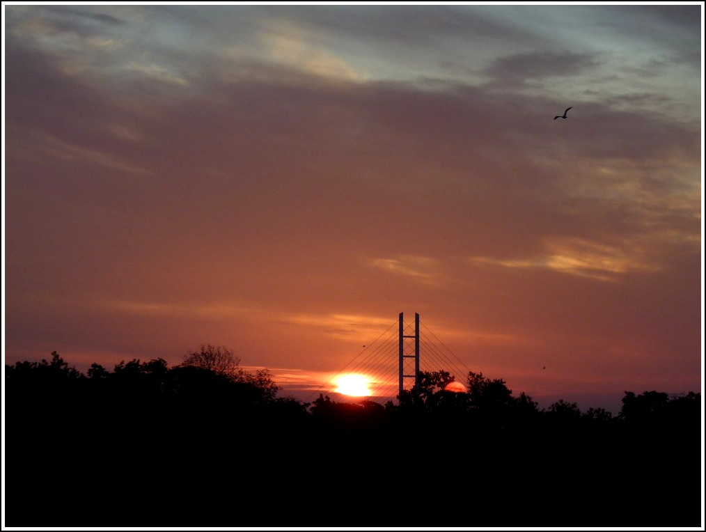 Sonnenaufgang in Stralsund am 25.09.2011. (Jeanny)