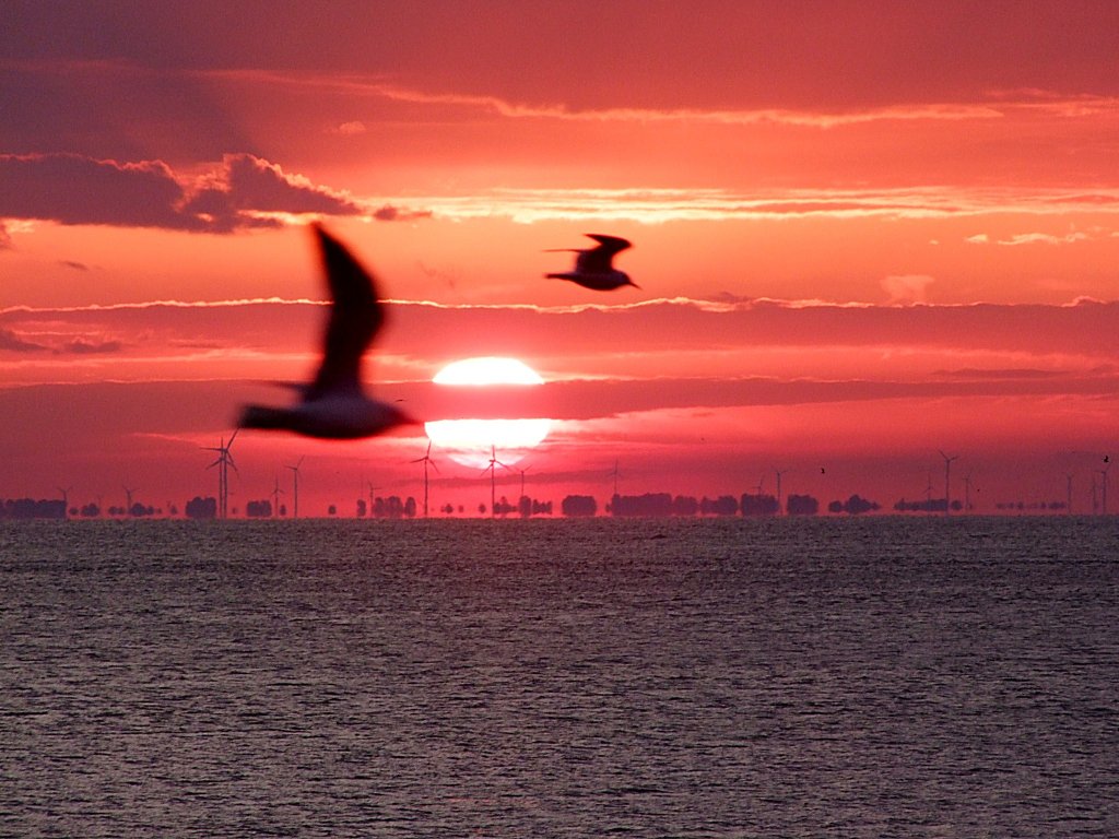 Sonnenaufgang ber der Elbe bei Cuxhaven; 090830