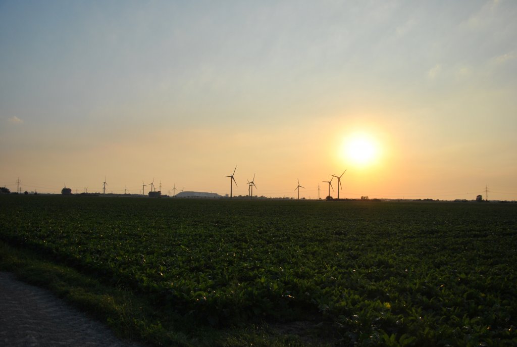 Sonnenunterang zwischen Lehrte und Evern am 21.08.10.