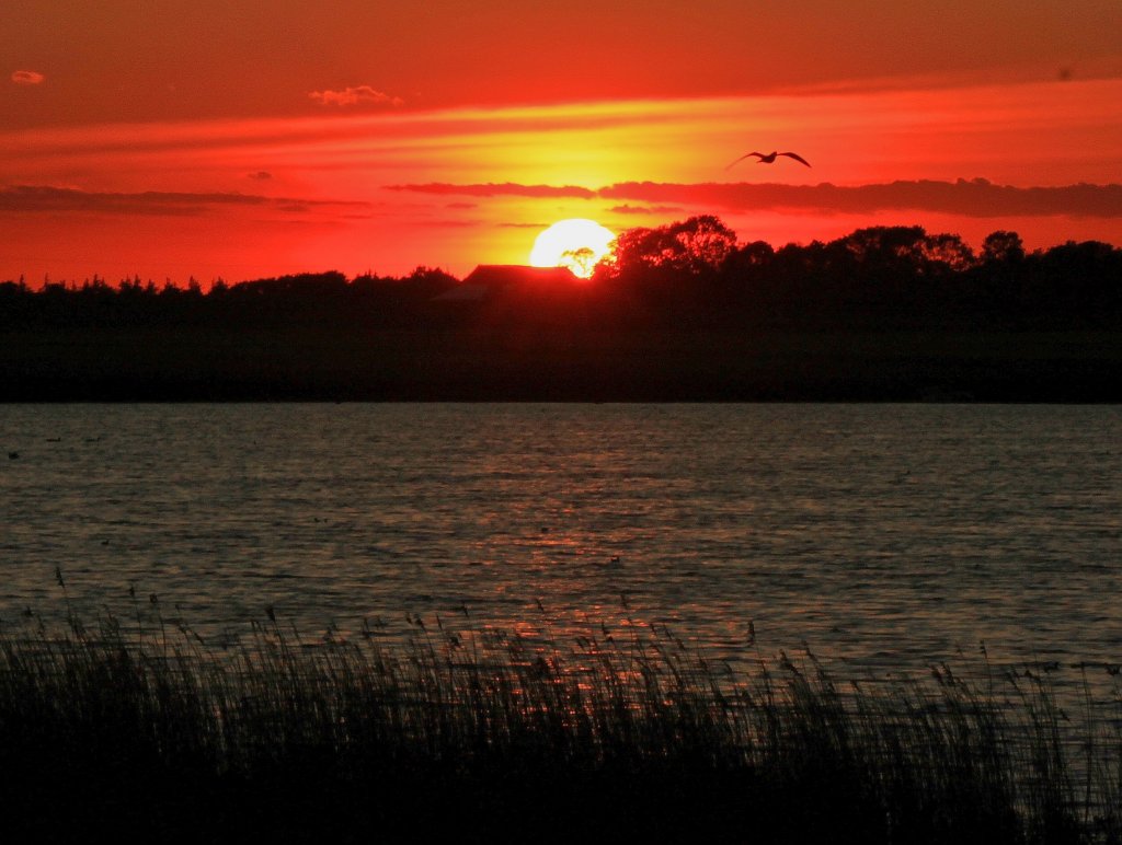 Sonnenuntergang vom 03.06.2013, die Aufnahme enstand in Orth auf Fehmarn mit Blick ber das Naturschutzgebiet Sulsdorfer Wiek.