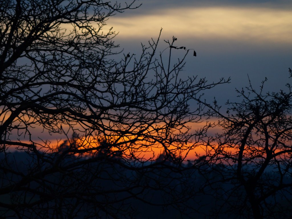 sonnenuntergang am 13.11.09 auf der Haid
das liegt zwischen Thrnthenning und Ottering