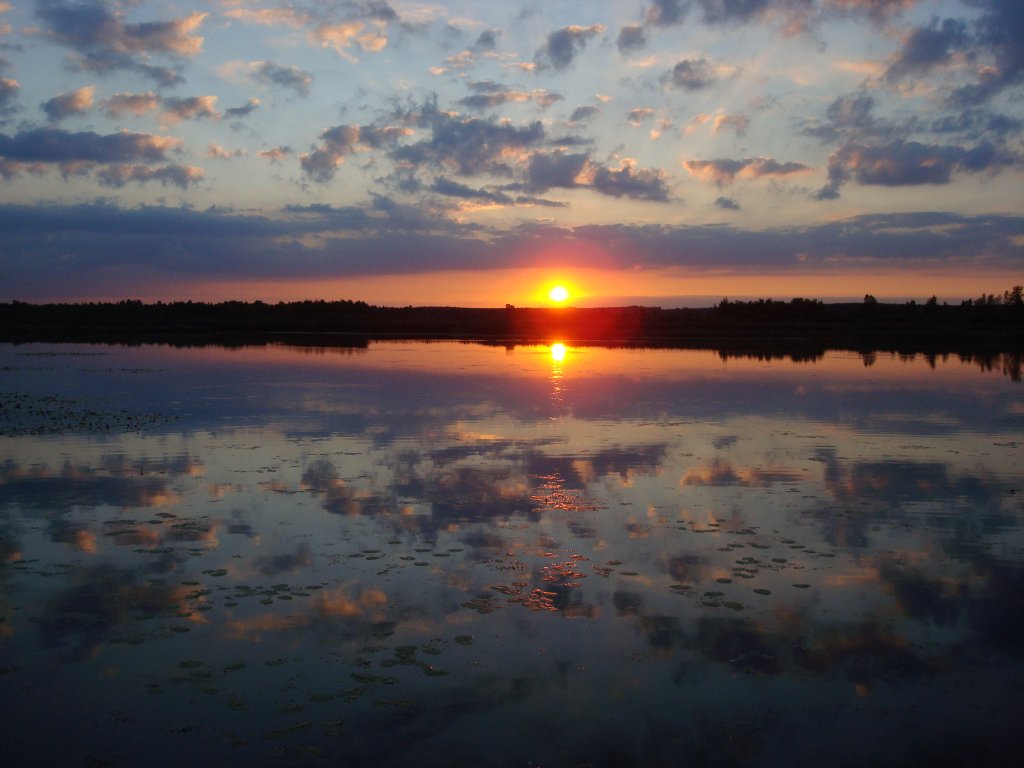 Sonnenuntergang am Federsee in Oberschwaben,
mit 1,4 qkm drittgrter See in Ba-W,
Aug.2008
