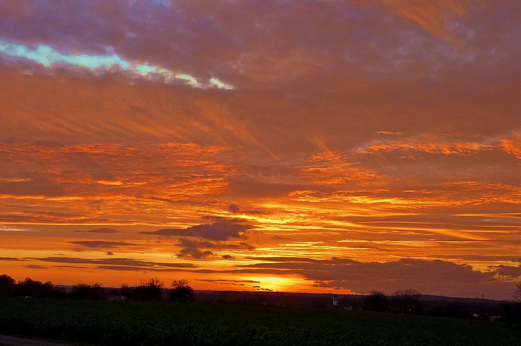 Sonnenuntergang am Marchhgel in der Rheinebene im Dez.2011