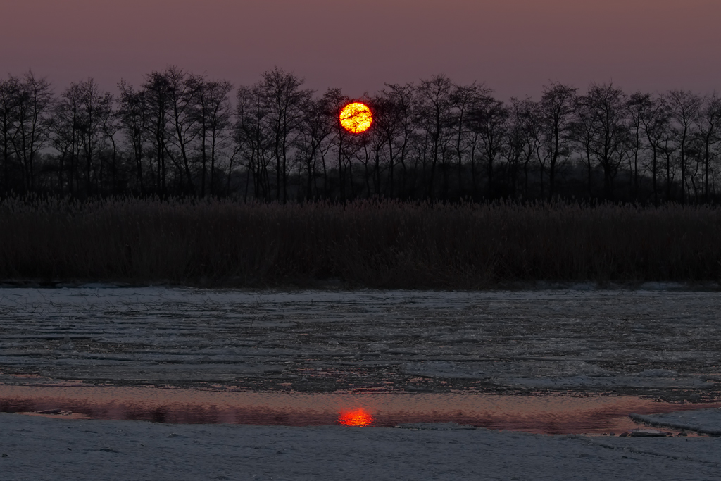 Sonnenuntergang am Mnkebuder Hafen. -  22.02.2013