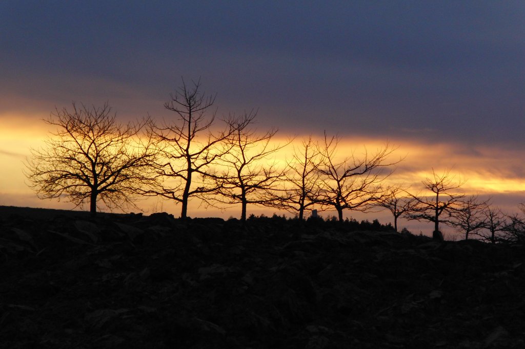 Sonnenuntergang am Ortsausgang von Bischwind a.R., aufgenommen am 17.03.2012