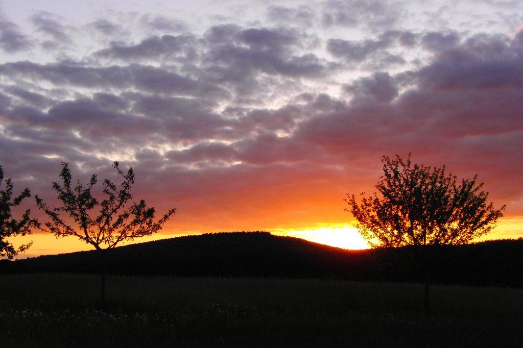 Sonnenuntergang am  Weinberg  bei Bischwind a.R.,aufgenommen am 13.05.2012