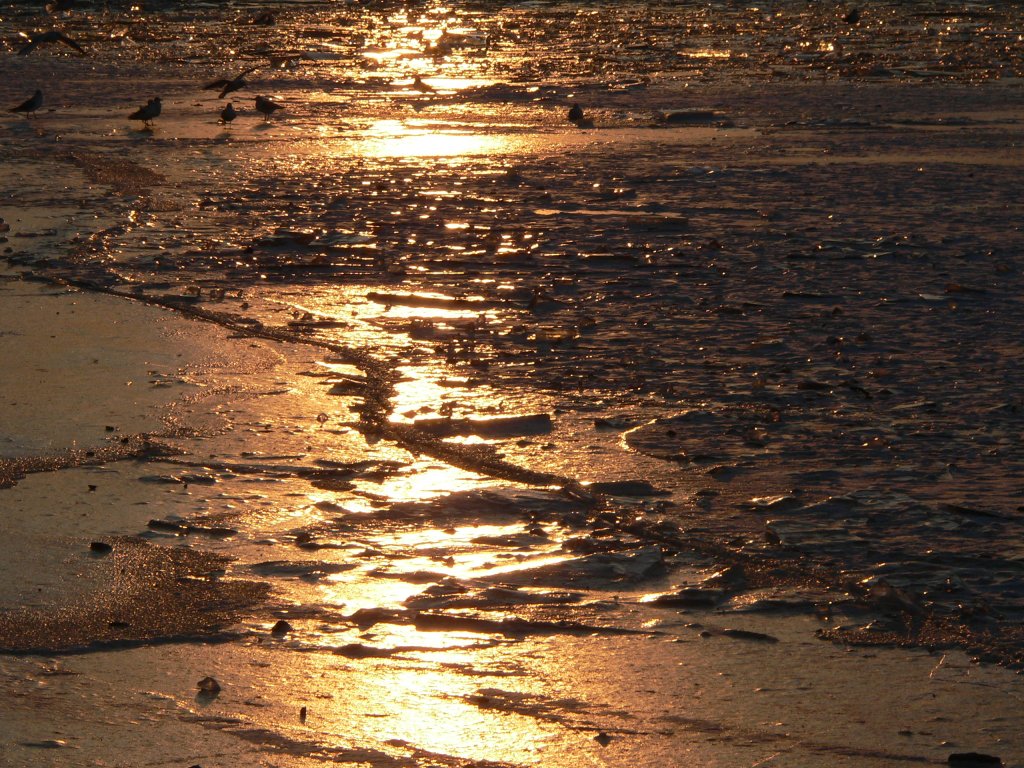 Sonnenuntergang auf der zugefrorenen Binnenalster. Im Gegensatz zur Außenalster war die Binnenalster nicht begehbar. Theoretisch zumindest, einige Wagemutige betraten das Eis trotz Wasserlöchern und Rissen. 10.2.2012
