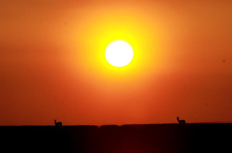 Sonnenuntergang bei Rieps (NWM); 05.05.2013