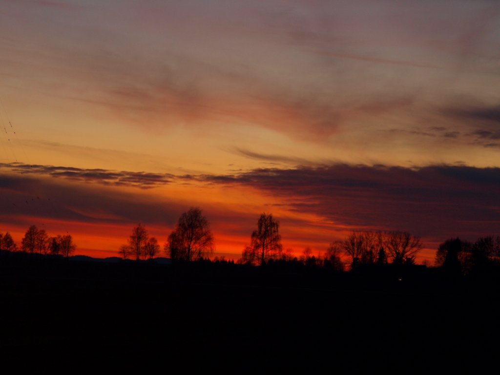 sonnenuntergang in moos zwischen plattling und osterhofen