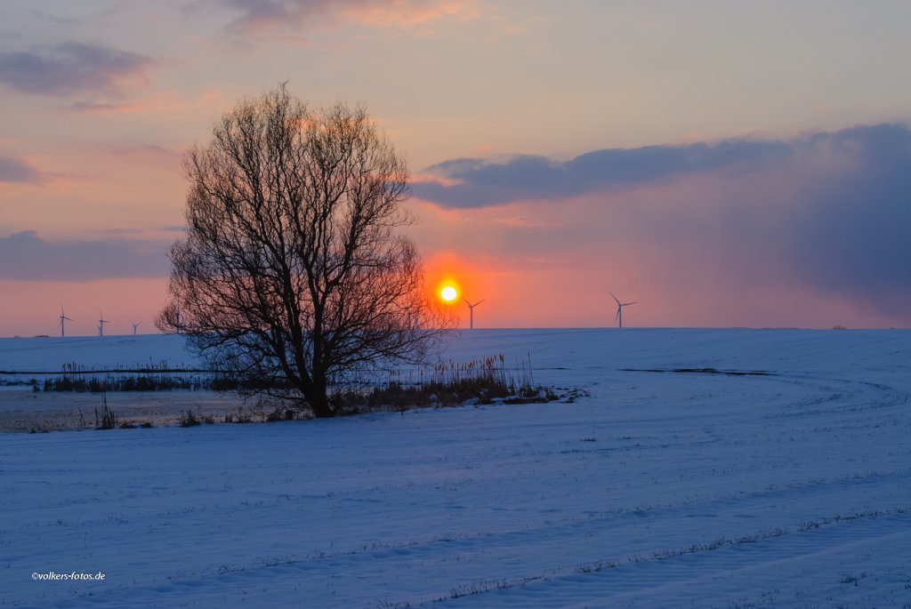 Sonnenuntergang im Oderbruch bei Bad Freienwalde.