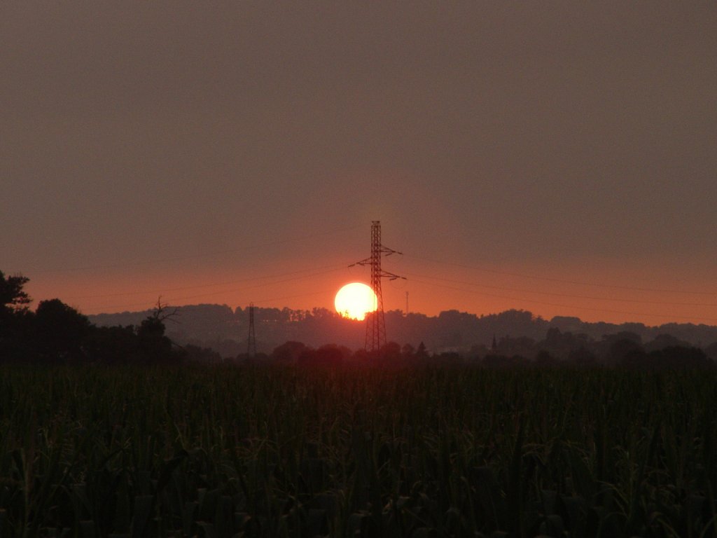 Sonnenuntergang in Sdfrankreich in der Provence am 25.07.2008