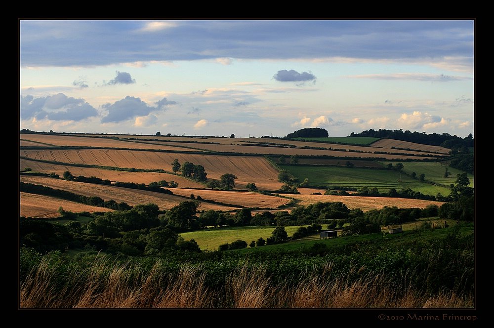 Sptsommer in den Hgeln bei Bath - Somerset, England