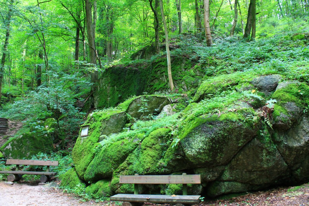 Spaziergang entlang des Gaishllwasserfall / Sasbachwalden am 29.07.2012