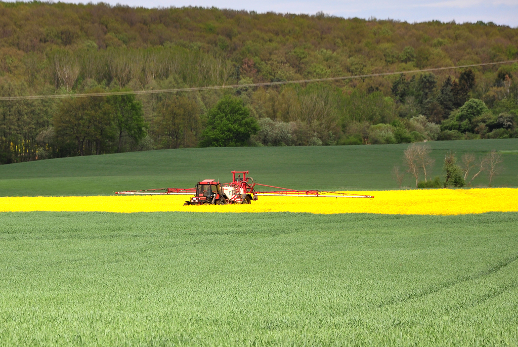 Sprhtraktor mitten im Rapsfeld bei Eu-Kirchheim - 08.05.2012