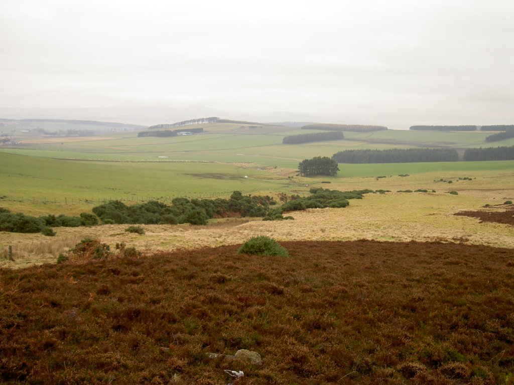 Strathmore Berge bei Aberdeen (14.02.2008)