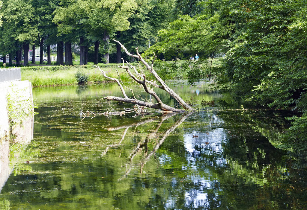 Sturmbruch im  Palmersdorfer Bach  beim Schloß Augustusburg, Brühl - 07.08.2017