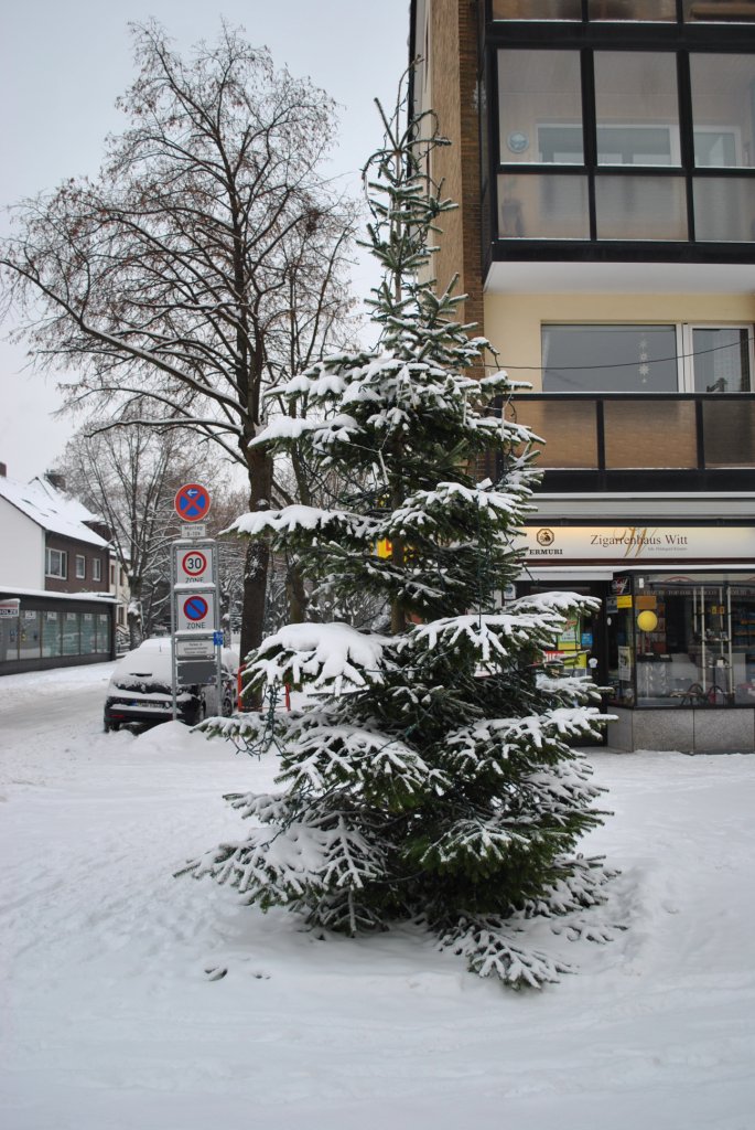 Tannenbaum mit Schnee am 19.12.2010 in Lehrte.