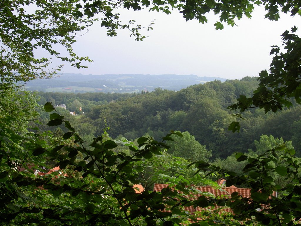 Teutoburger Wald bei Tecklenburg (28.05.2011)